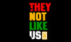 They not like us Hoodie